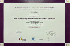 therapy-certyfikat
